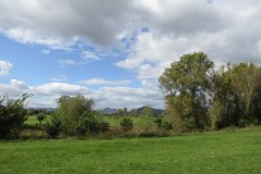 XIMG_4687