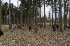 PXL_20240323_150725548