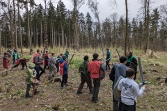 PXL_20240323_150924643