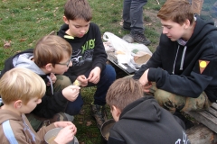 DSC00011