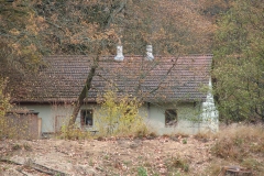 DSC03591