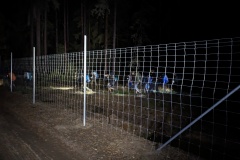 PXL_20231103_201228074