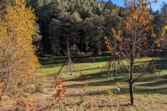 PXL_20231104_091547612