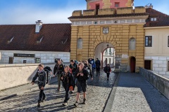 PXL_20231105_115114290