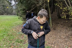 PXL_20241102_085936480