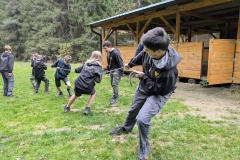 PXL_20241102_091132389