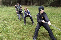 PXL_20241102_091410147