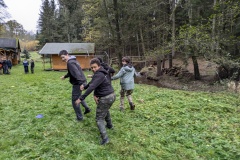 PXL_20241102_095951837