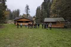 PXL_20241102_101230110