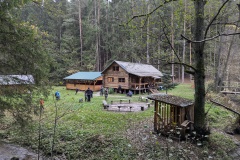 PXL_20241102_102107919