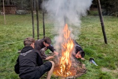 PXL_20241102_153438661