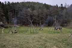 PXL_20241102_154020950