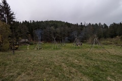 PXL_20241102_154026050