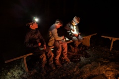 PXL_20241102_164511673.NIGHT