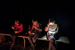 PXL_20241102_164641491.NIGHT