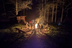 PXL_20241102_171624131.NIGHT