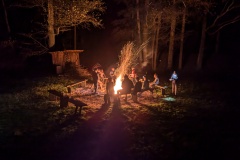 PXL_20241102_171650926.NIGHT