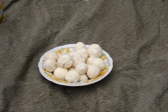 DSC01250