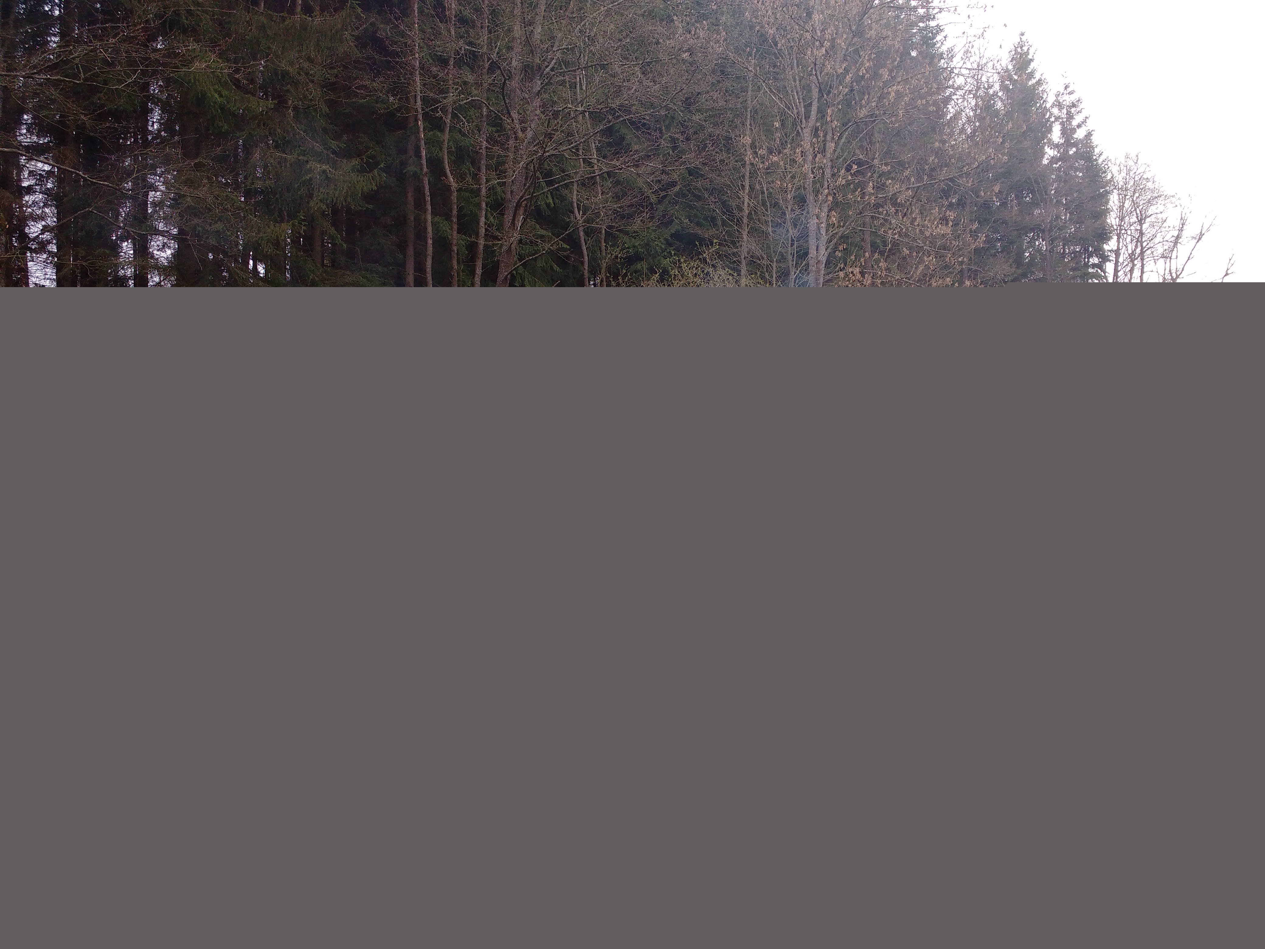 IMG_20190413_125243153