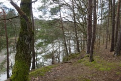 DSC01017