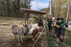 PXL_20240406_080029159