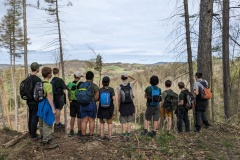 PXL_20240406_081044033