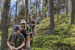 PXL_20240406_092620954