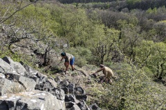 PXL_20240406_145021293