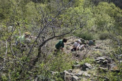 PXL_20240406_145528456