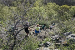 PXL_20240406_145551960