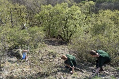 PXL_20240406_145927384