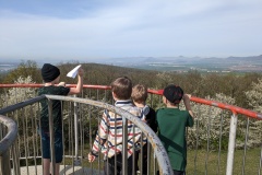 PXL_20240407_081338155