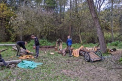 PXL_20221022_121542055