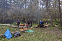 PXL_20221022_121721268