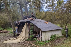 PXL_20221022_121739248