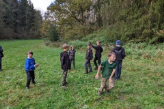 PXL_20221022_132839584