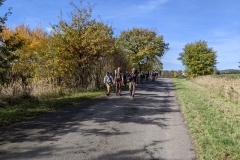 PXL_20221023_095449534