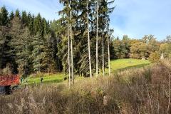 IMG-20251019-WA0003