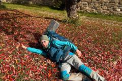 IMG-20251019-WA0005