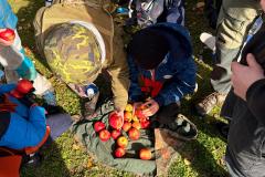 IMG-20251019-WA0007