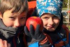 IMG-20251019-WA0013
