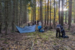 PXL_20251019_063920319