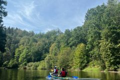 SIMG-20240901-WA0029