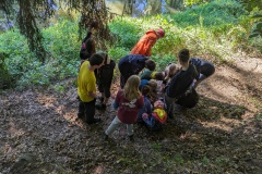 PXL_20230917_074557337