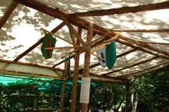 DSC08778