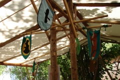 DSC08800