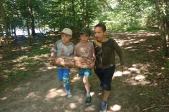 IMG_20190704_115114188