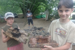 IMG_20190711_180239871