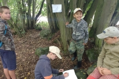 IMG_20190712_123547789