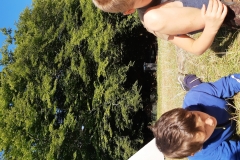 IMG_20200707_092125375